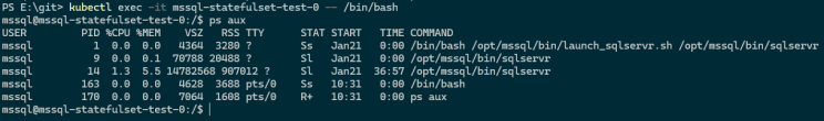 Startup scripts in SQL Server containers | DBA From The Cold